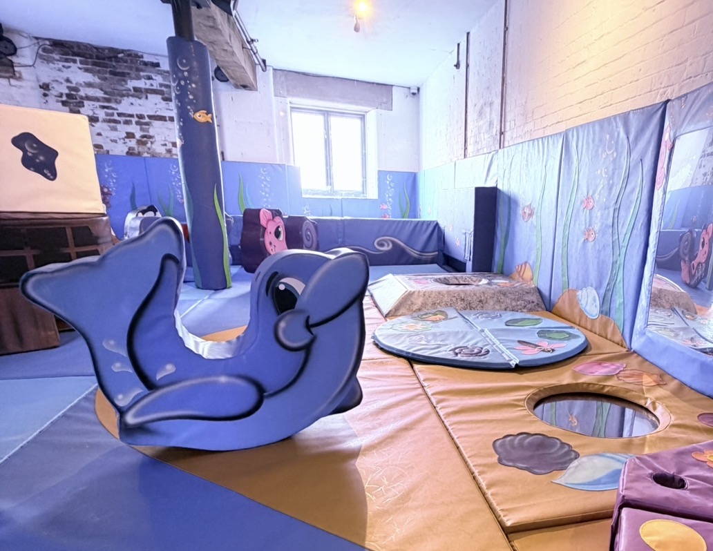 A dolphin soft play rocker in the baby area at Little Harbour Club